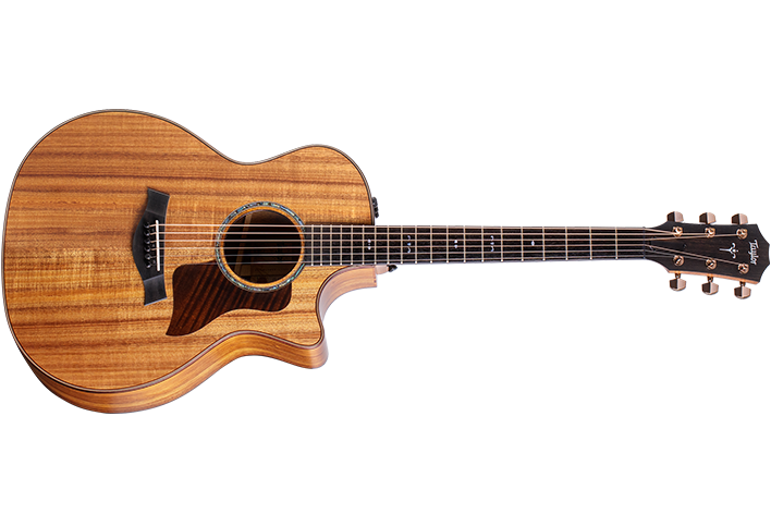 200 Series Guitars Taylor Guitars